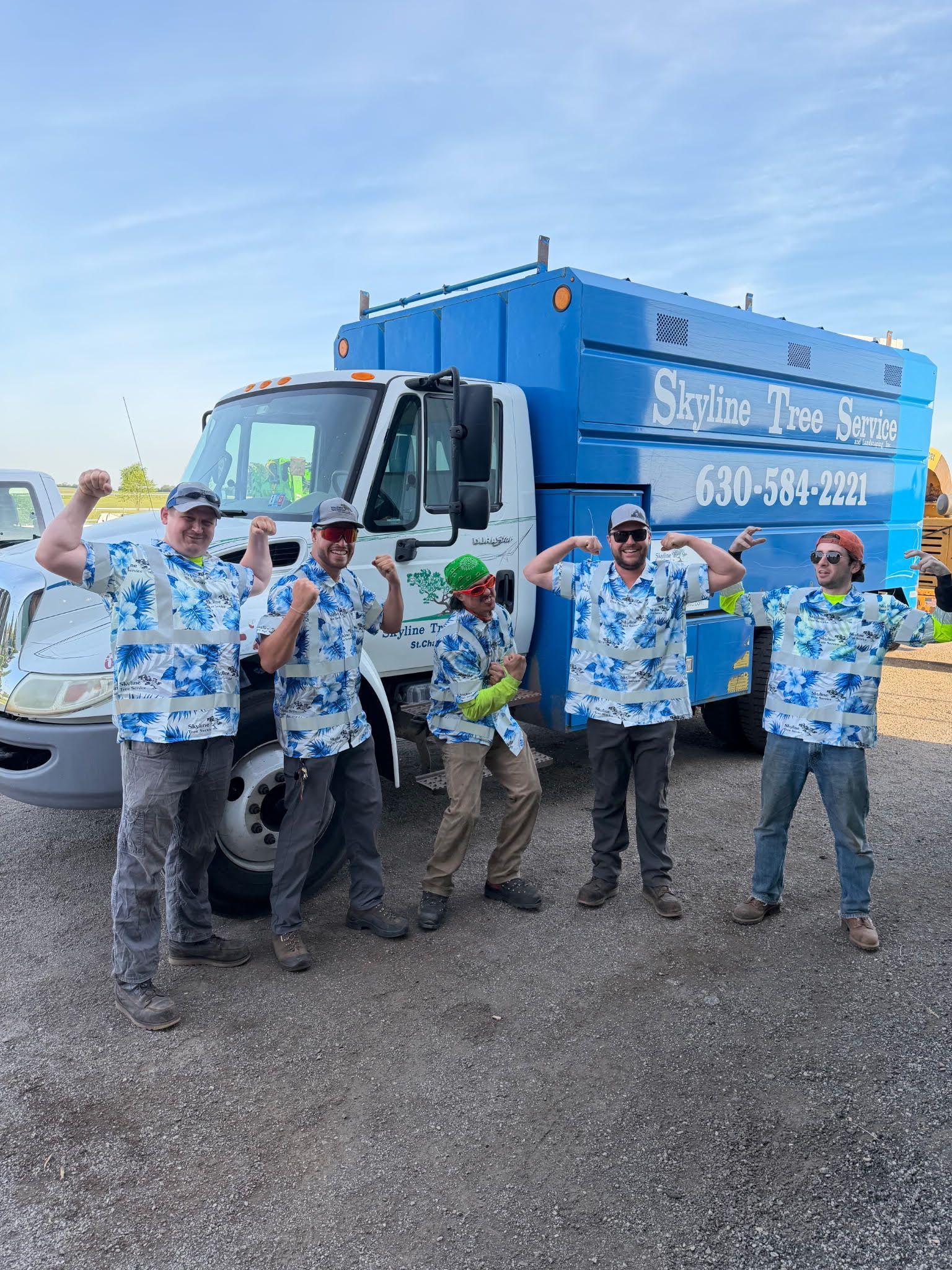 Work for skyline tree service