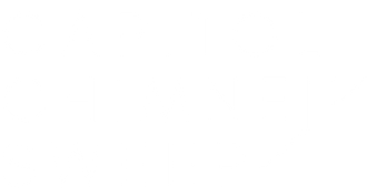 capitol chimney sweep logo