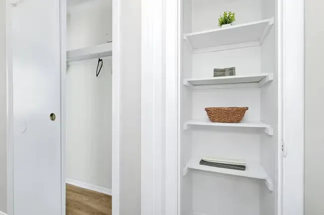 White closet with shelves, empty closet on the left.  A plant and basket sit on the shelves.