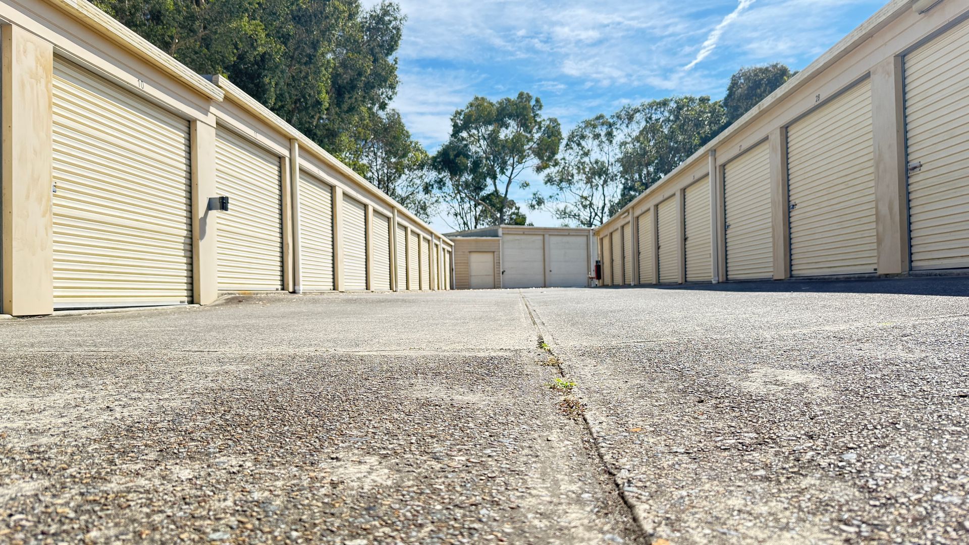 Rows of beige storage units with rolling doors, concrete ground, blue sky, and trees — Nelson Bay Self Storage in Salamander Bay, NSW