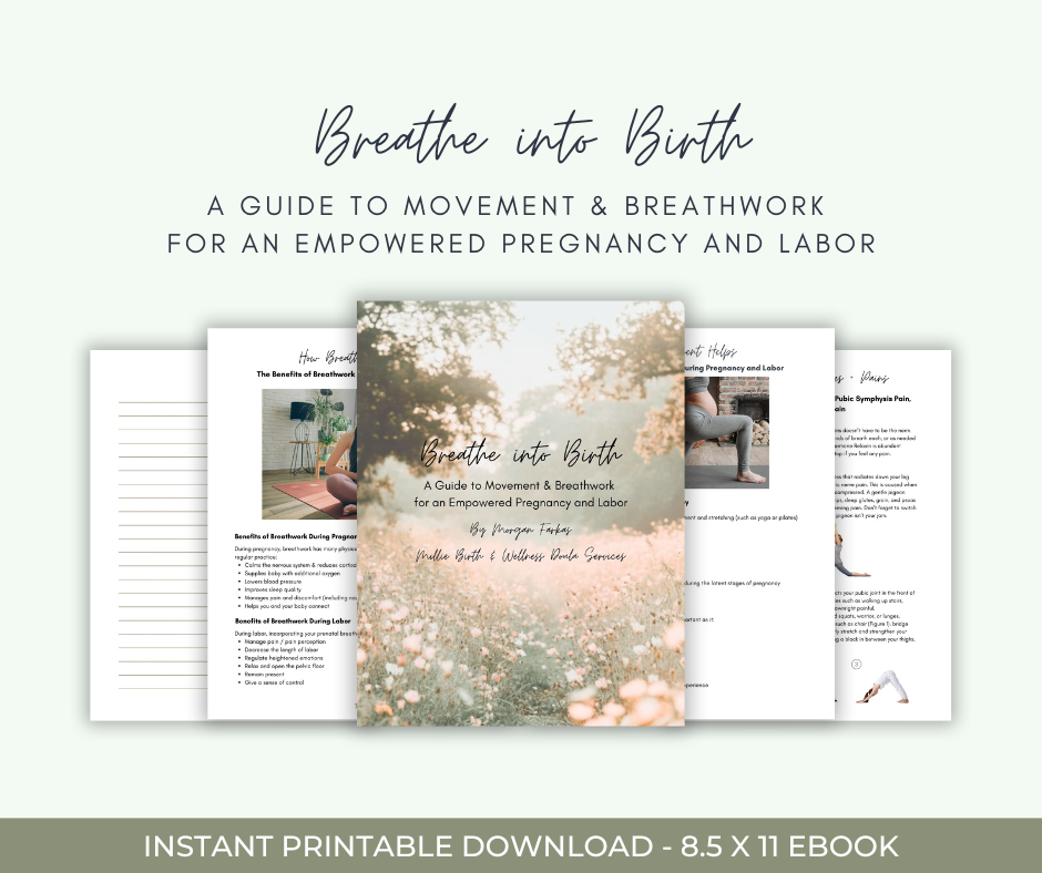 Breathe into Birth: A Guide to Movement & Breathwork for an Empowered Pregnancy and Labor eBook
