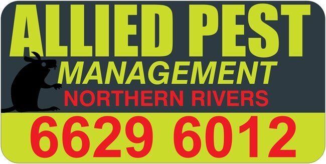 Quality Pest Control Services in Ballina | Allied Pest Management Northern Rivers