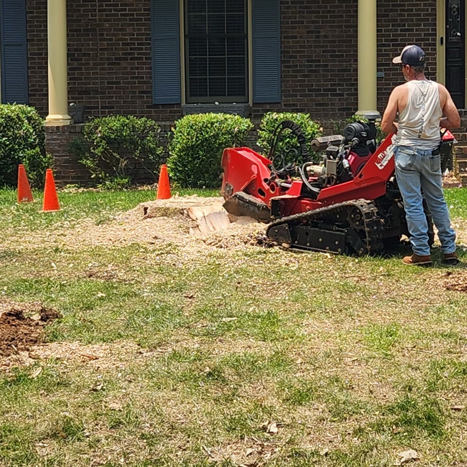 A yellow stump grinder grinding a tree stump, creating wood chips in a yard setting.