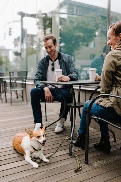 Couple drinking coffee at a sidewalk cafe while their well-trained corgi dog lies calmly at their feet.