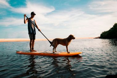 A person on a stand up paddle board with their yellow labrador standing calmly on the front of the board.