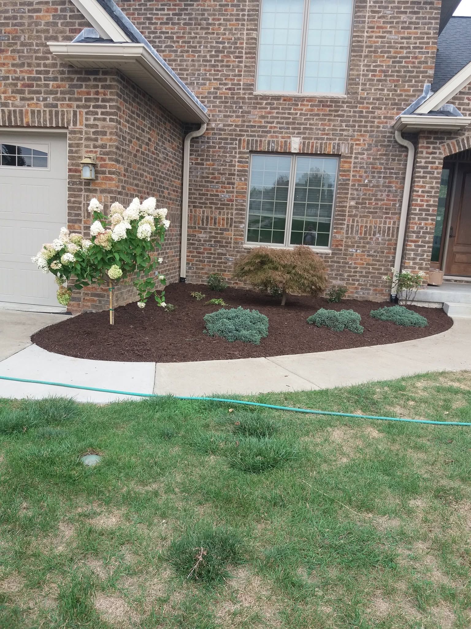 Brick house front yard with new mulch beds, white flowering shrub, and curved concrete border.