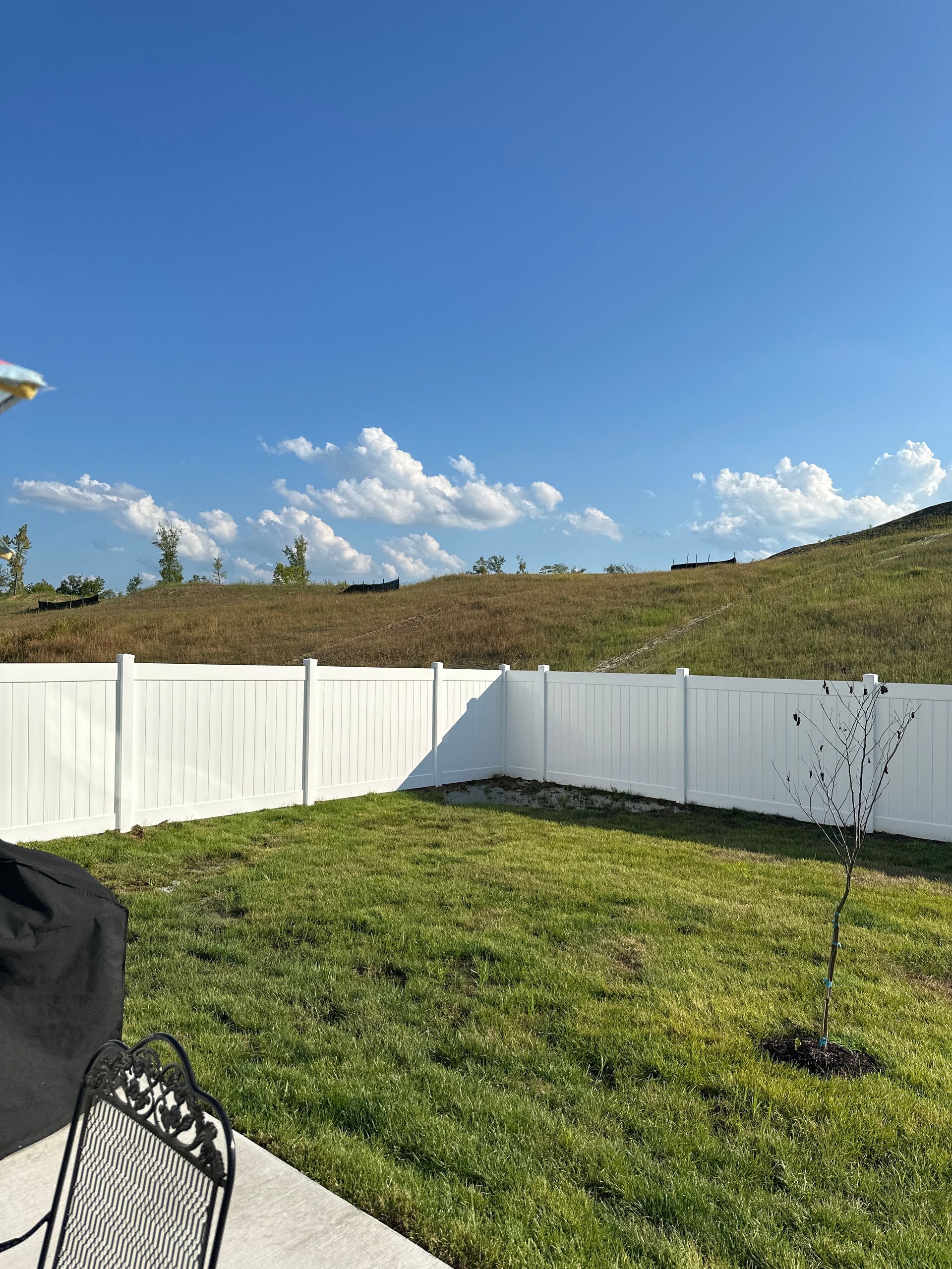 White fenced backyard with green grass, small tree, and a hill under a blue sky with clouds.