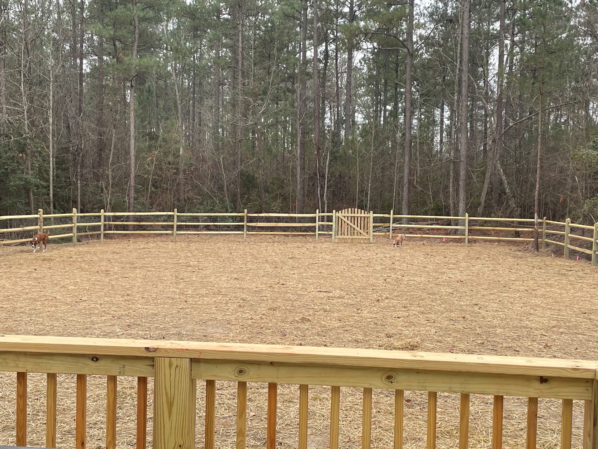 Wooden deck with a split-rail fence enclosing a yard filled with mulch, surrounded by trees.