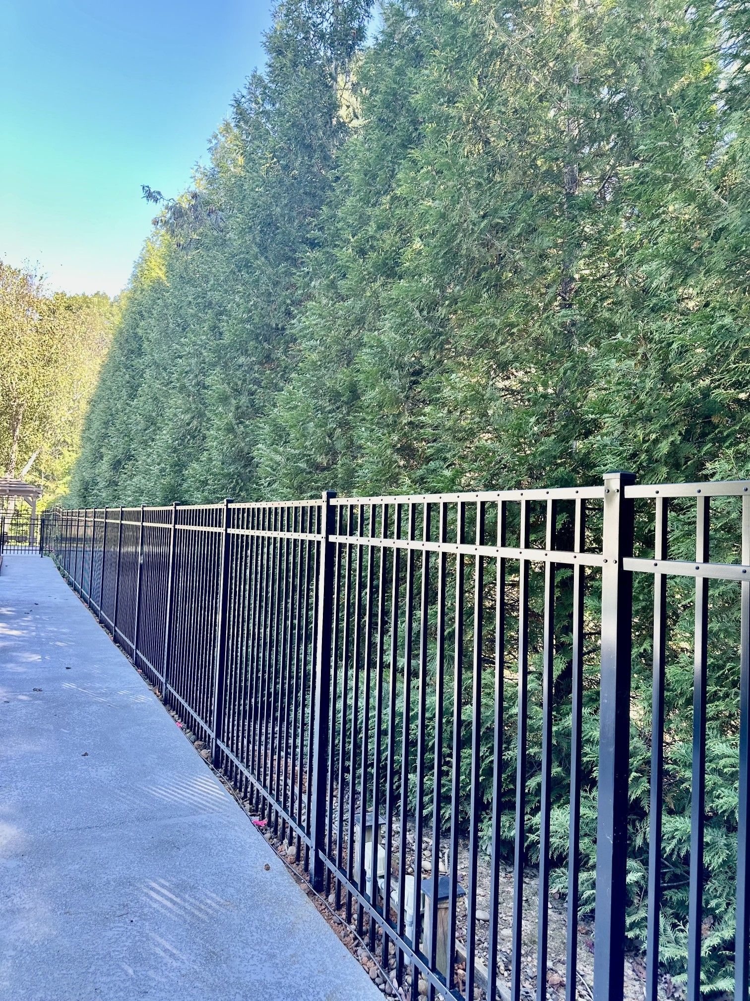 Black metal fence alongside a concrete path, with a backdrop of tall green trees.