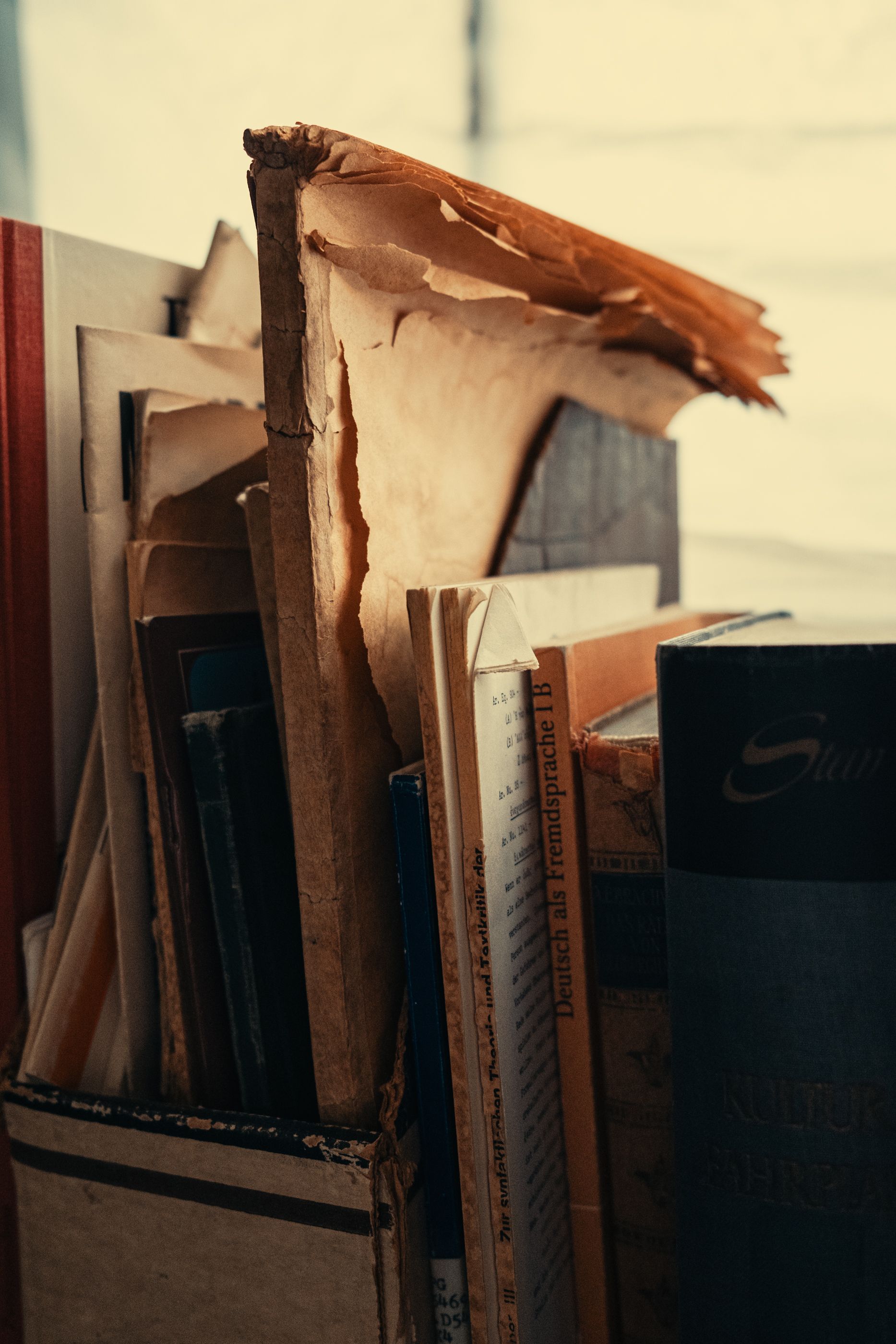 A pile of books with one being titled ' a brief history '