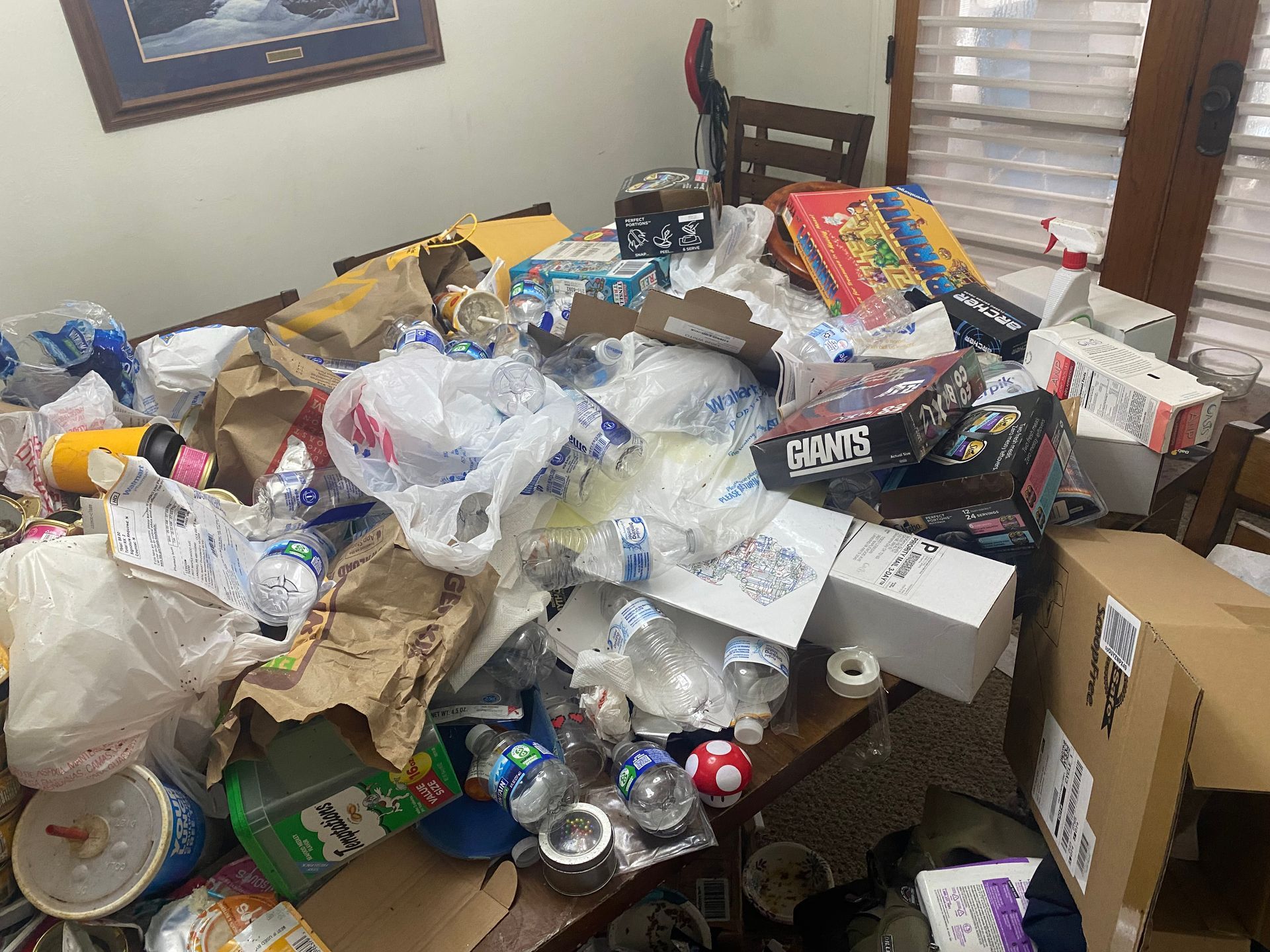 Cluttered room with a large pile of trash, bags, boxes, and cans spilling across the floor.