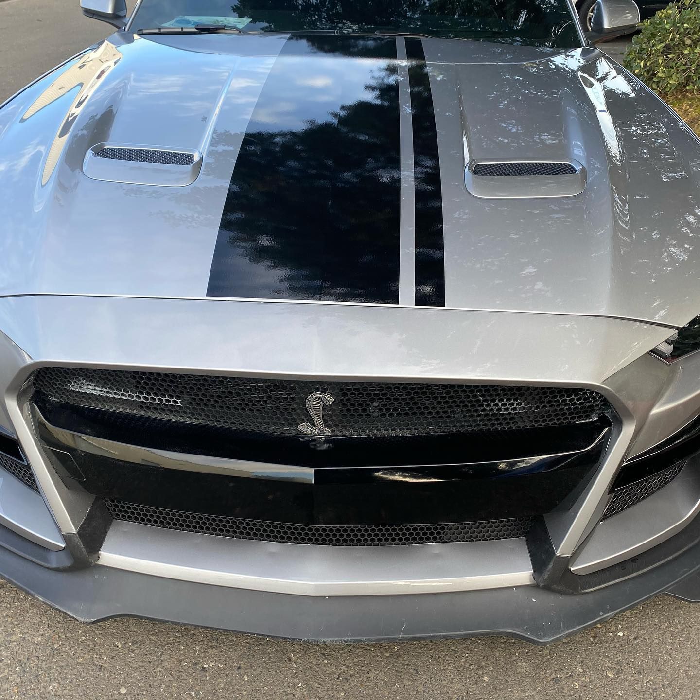 A silver mustang with black stripes on the hood is parked on the side of the road.