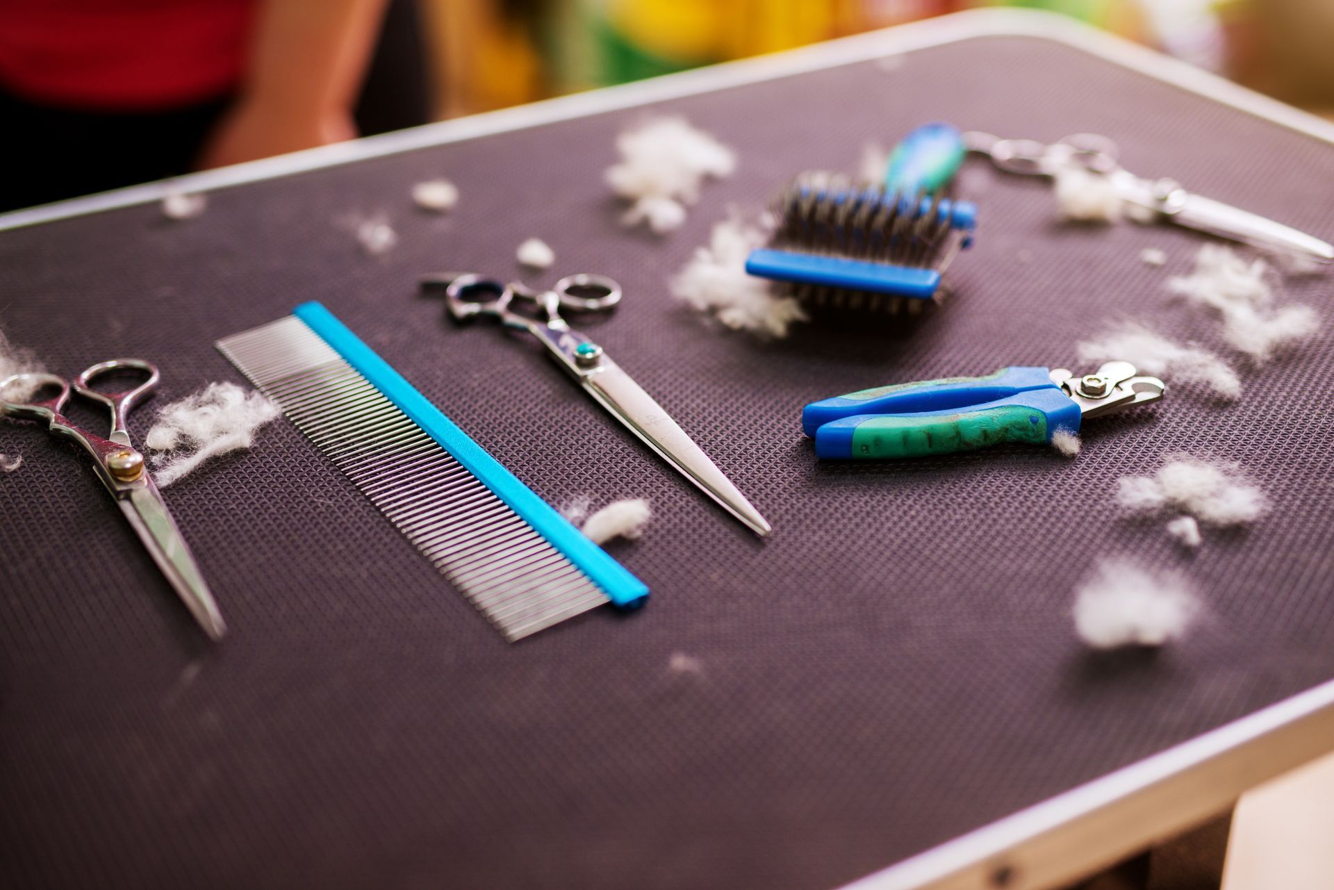 Animal Hairdressing Tools — Shreveport, LA — Paradise Pet Grooming