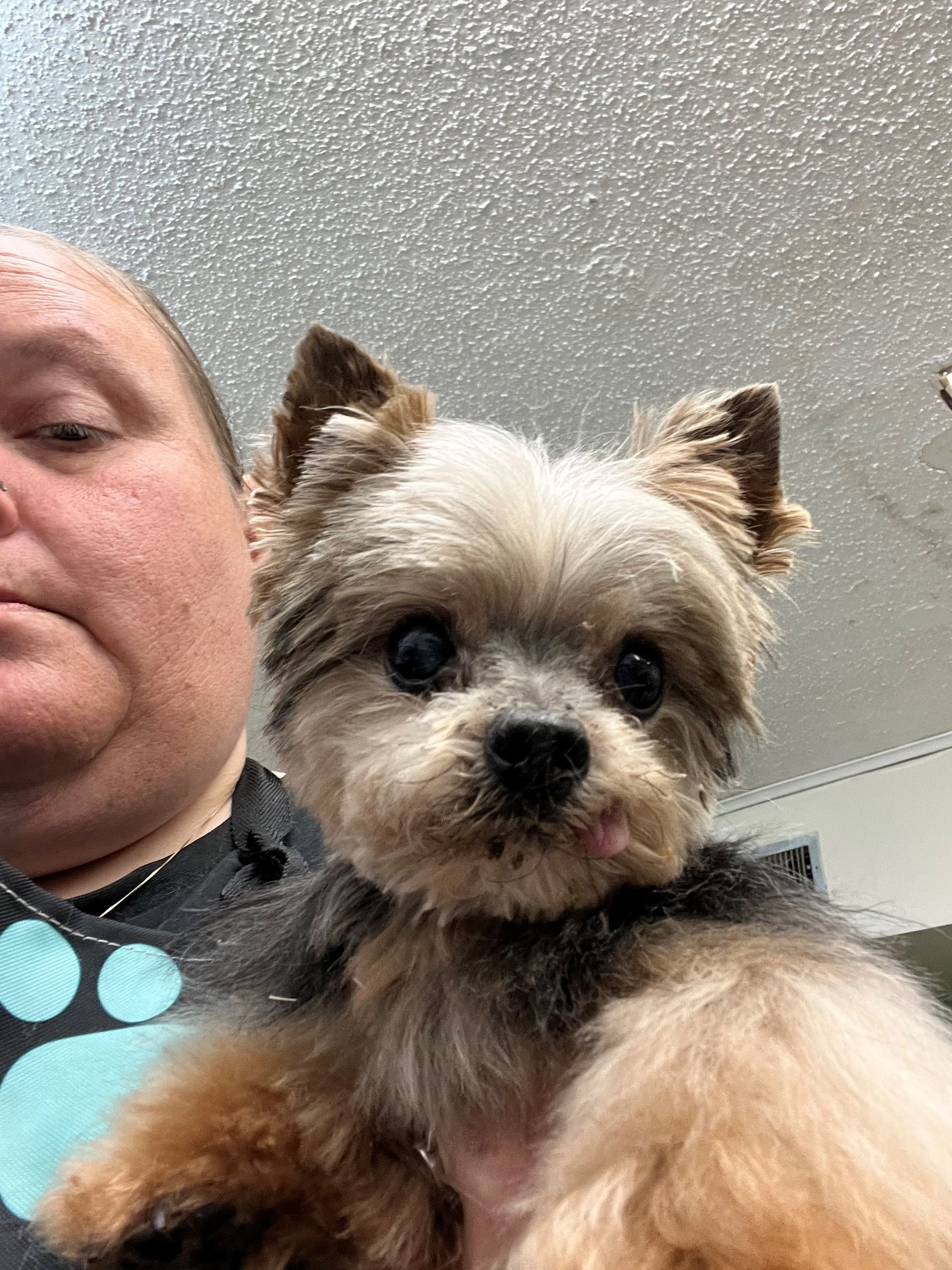 Cute Dog with Owner — Shreveport, LA — Paradise Pet Grooming