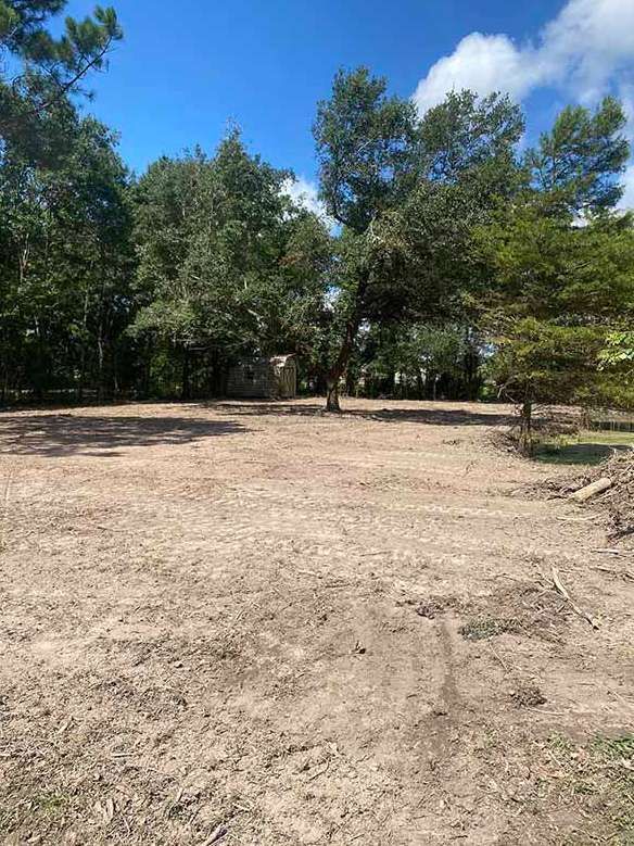 A dirt field with trees in the background on a sunny day.