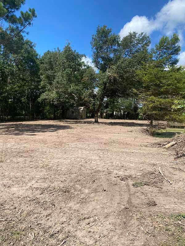 A dirt field with trees in the background on a sunny day.