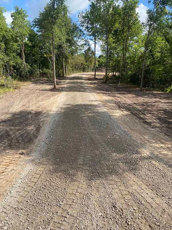 A dirt road going through a forest with trees on both sides.