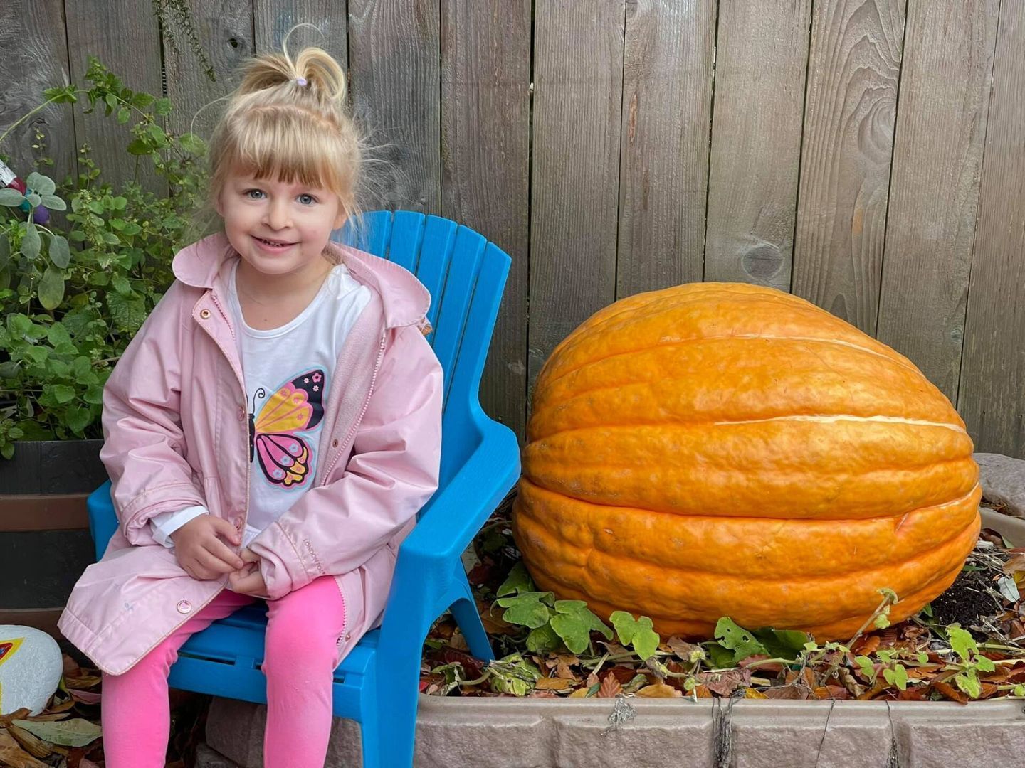 Girl in pink raincoat and leggings sits next to a large orange pumpkin