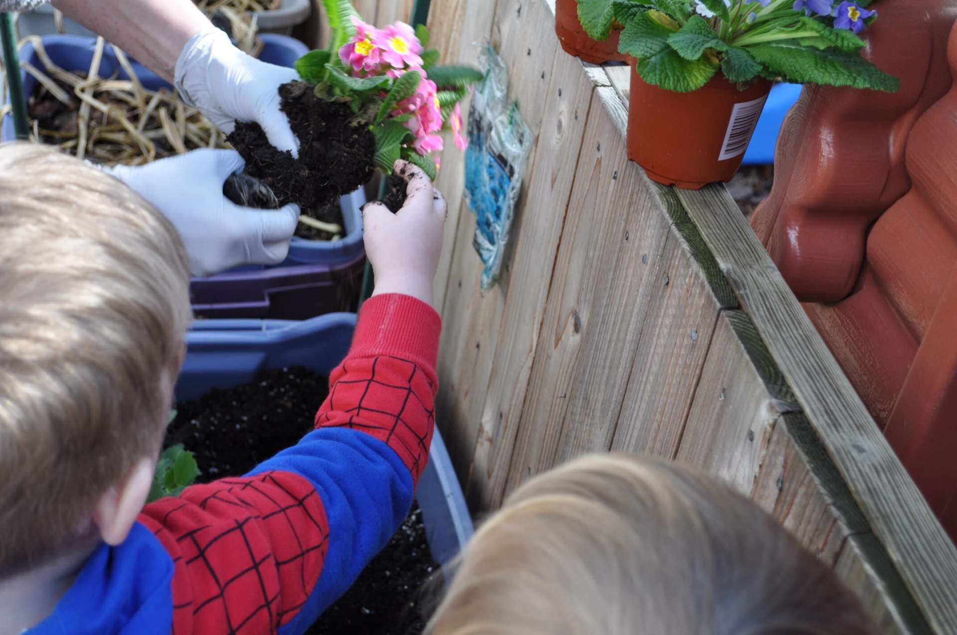 Two children planting flowers in a garden bed with help from gloved hands