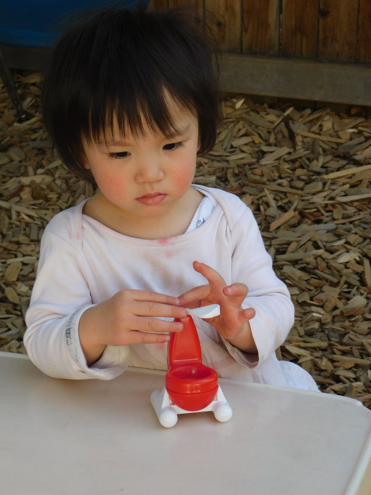 Young child looks at toy toilet.