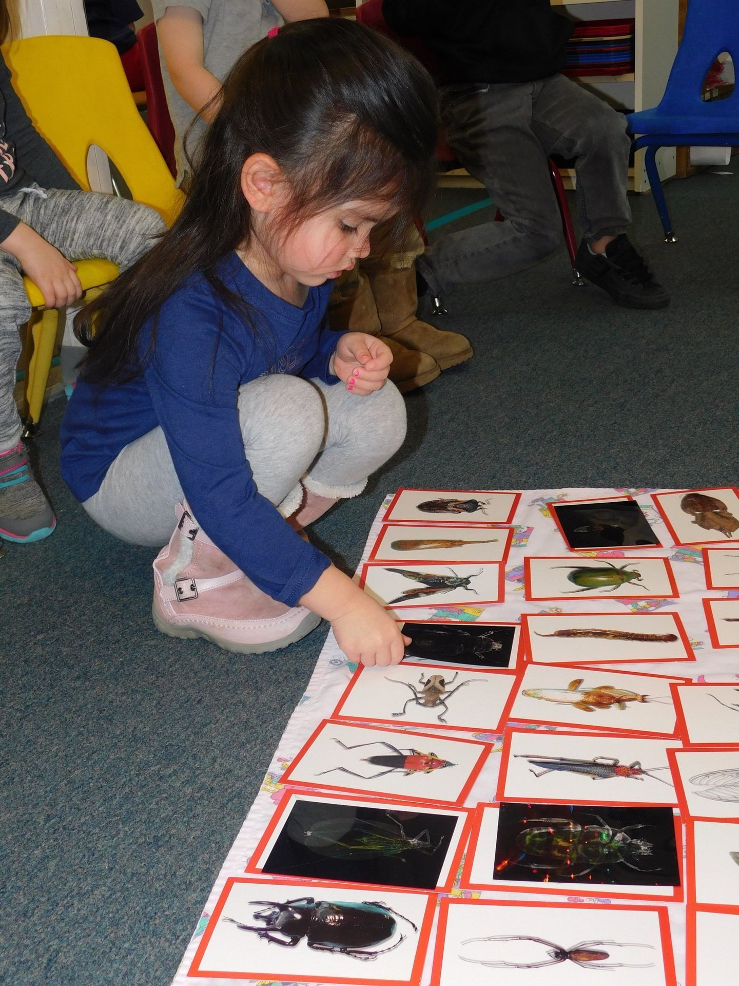 Girl looking at insect cards on a floor mat