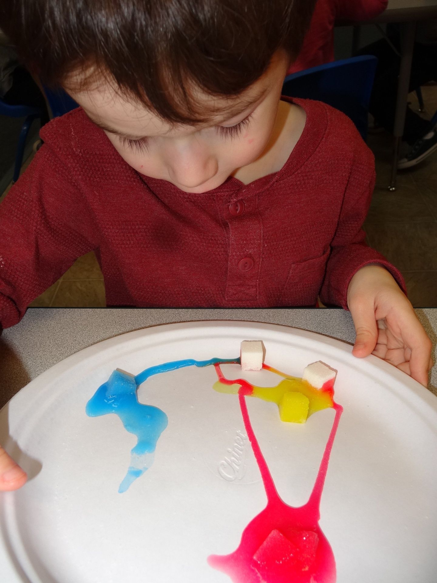 A young boy observes colorful paint spreading on a plate from sugar cubes
