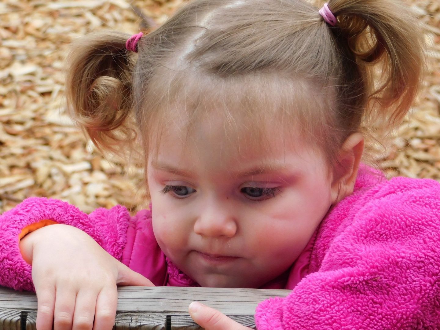 Young child with pigtails