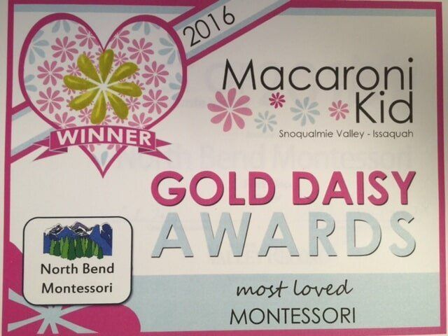 Macaroni kid gold daisy awards