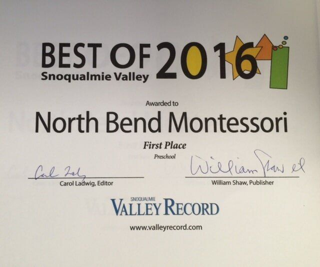 Award certificate in 2016