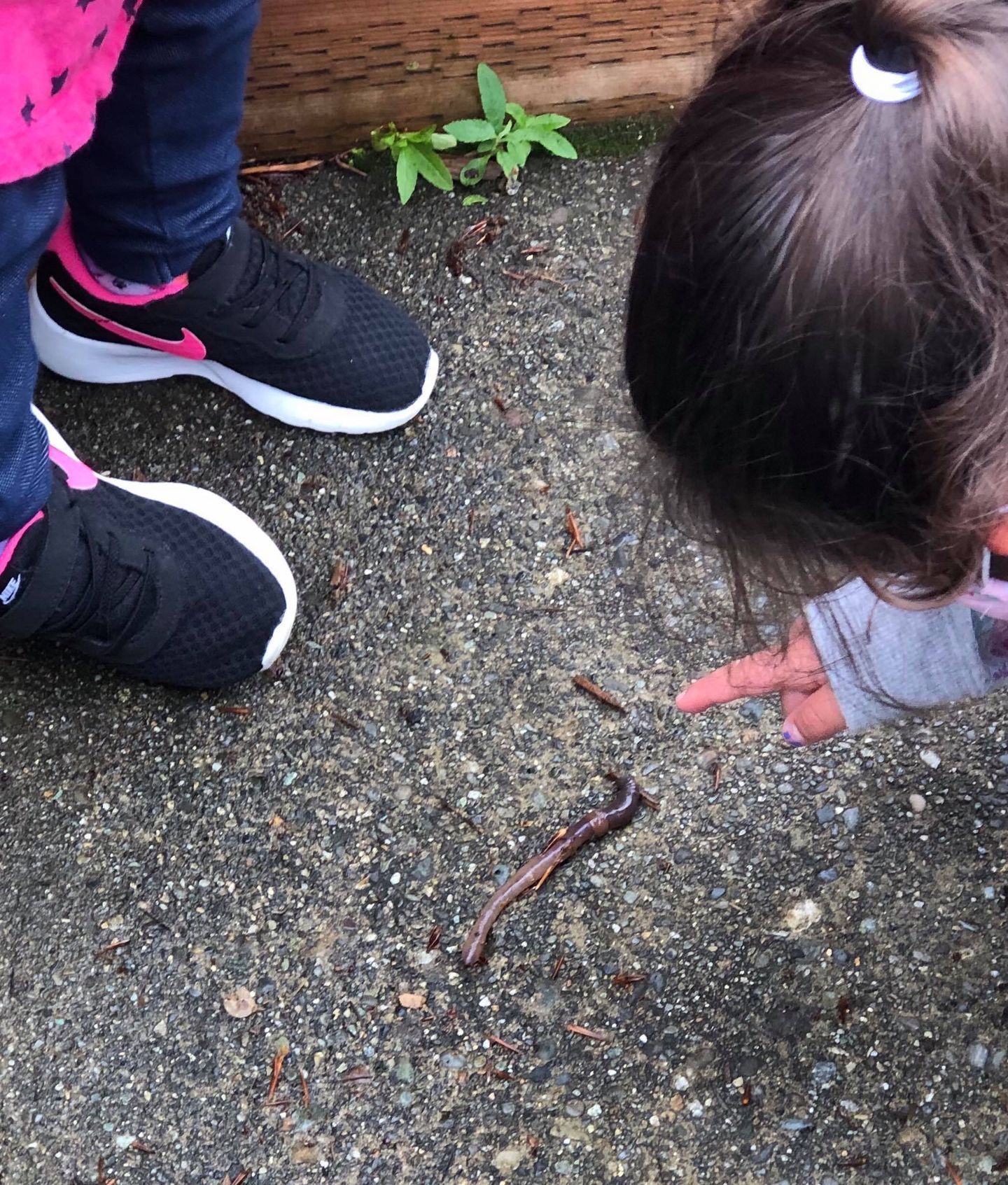 Two children point at an earthworm on gray pavement