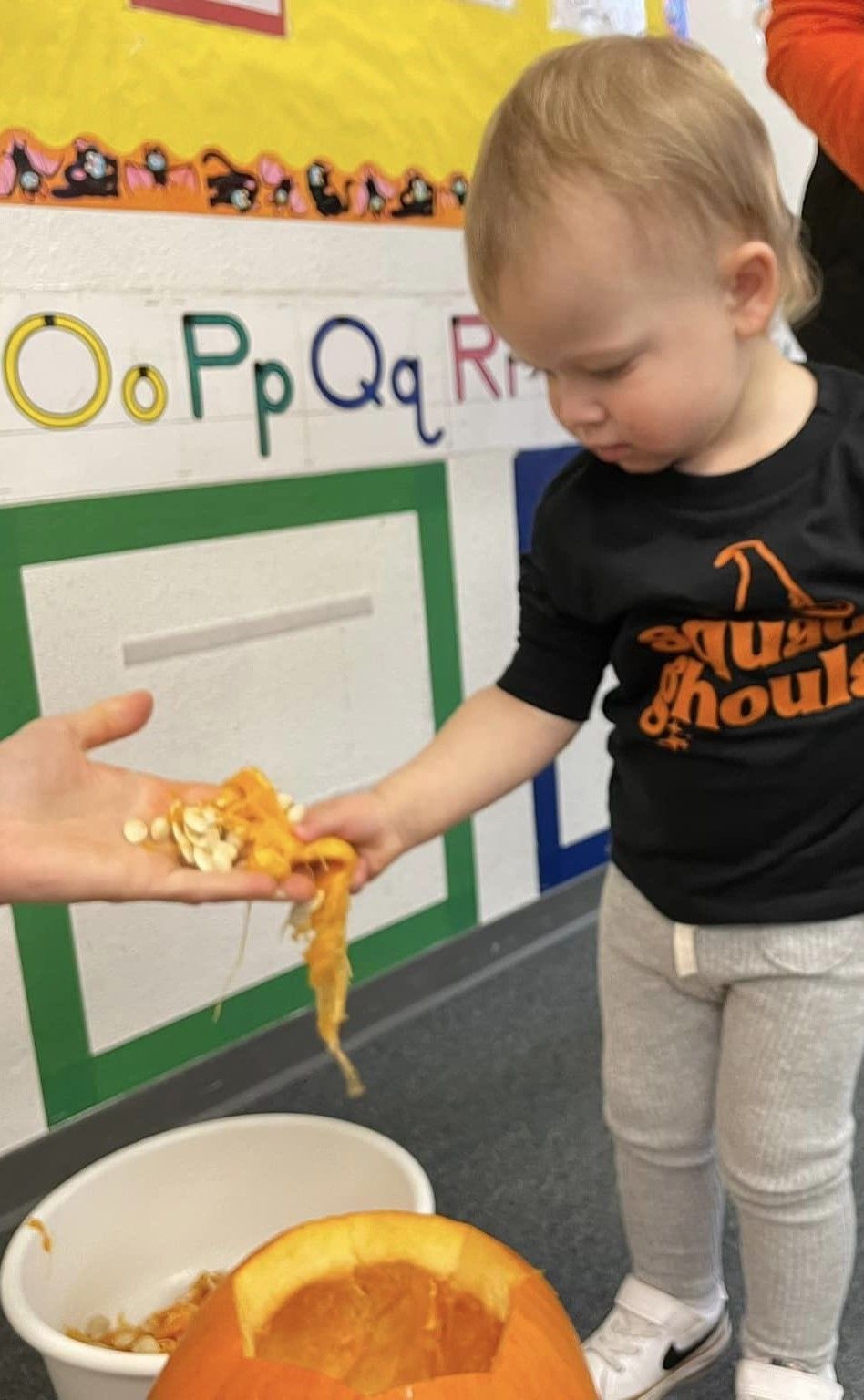 A young child, holding pumpkin guts, examines the pulp while standing in a classroom