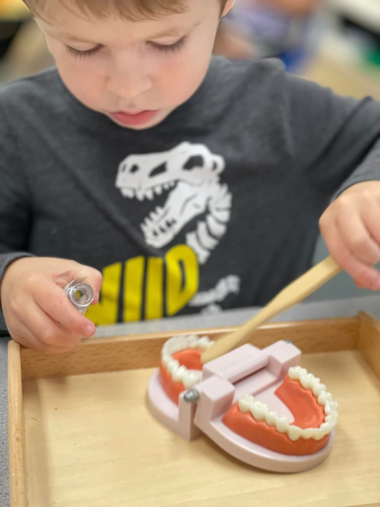 A young boy practices brushing teeth on a model using a toothbrush and toothpaste.