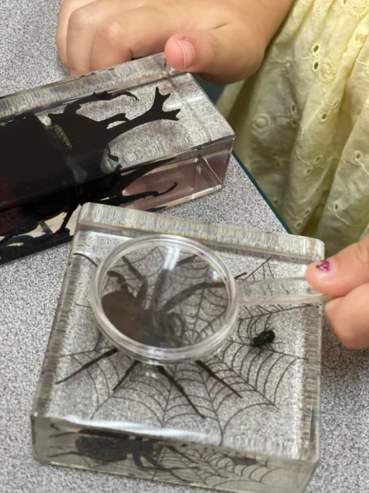 Child's hands explore Halloween-themed resin blocks with spider and web, magnified spider visible