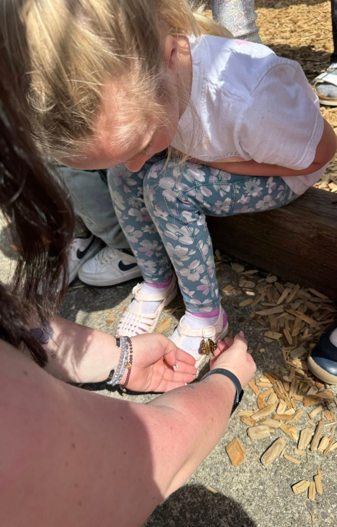 Person helping a child examine a bee on the ground