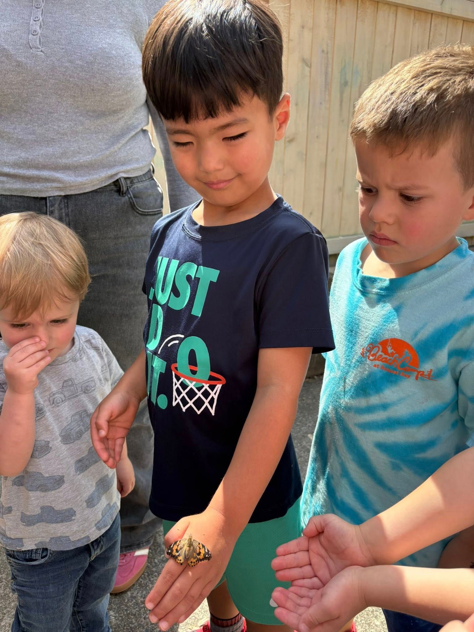 Children looking at a butterfly on a boy's hand