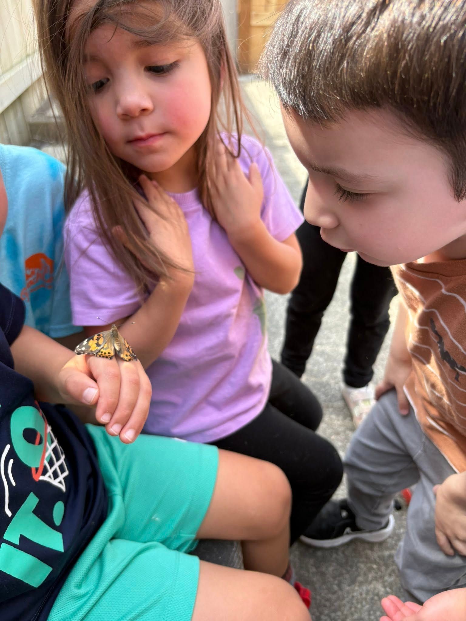 Children observing a butterfly on a hand