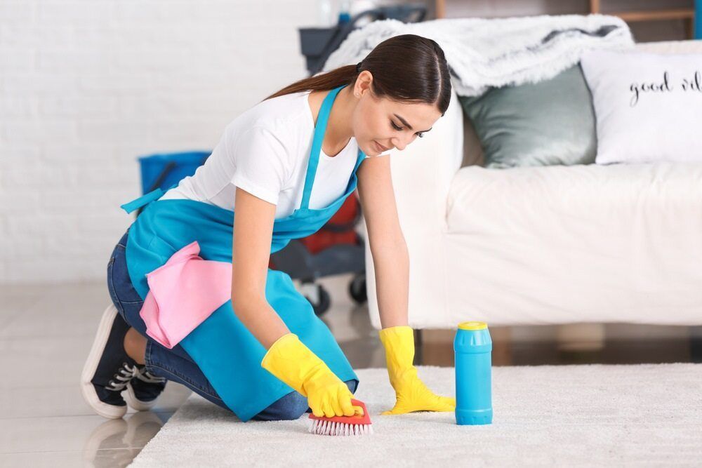 A Woman Trying To Clean The Carpet — Healthy Cleaning Solutions in Coffs Harbour, NSW