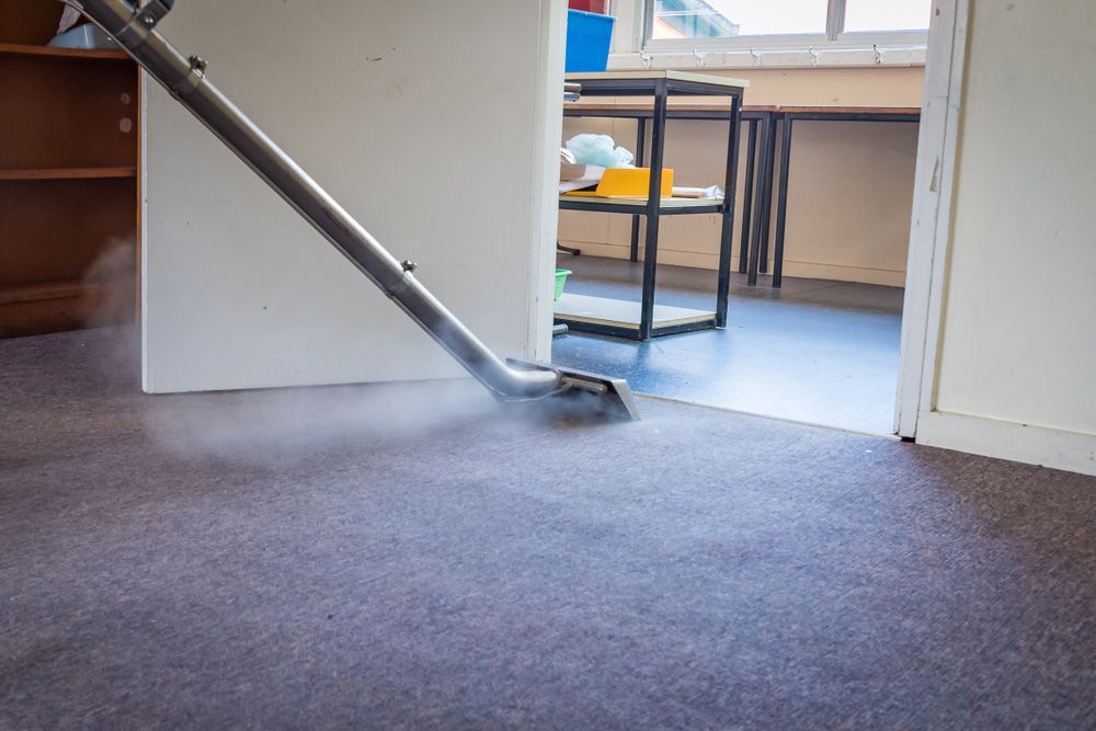 A Vacuum Cleaner Is Cleaning a Carpet in A Room - Healthy Cleaning Solutions in Scotts Head, NSW