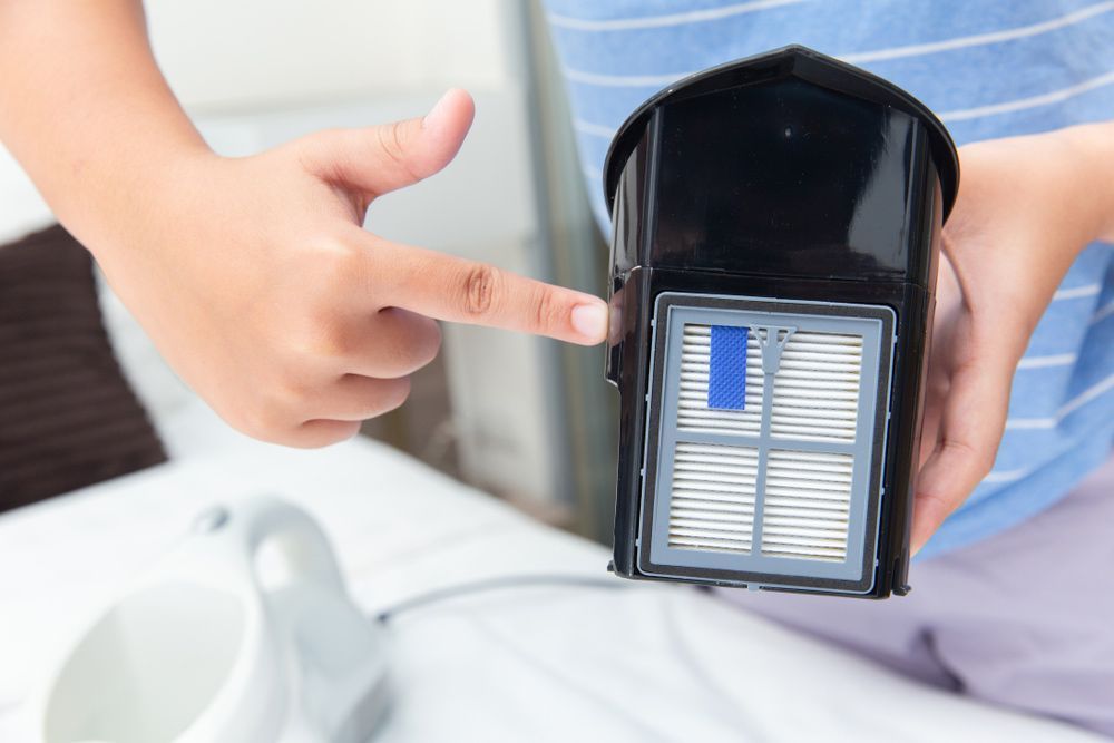 A Person Is Holding a Vacuum Cleaner Filter and Pointing at It - Healthy Cleaning Solutions in Scotts Head, NSW