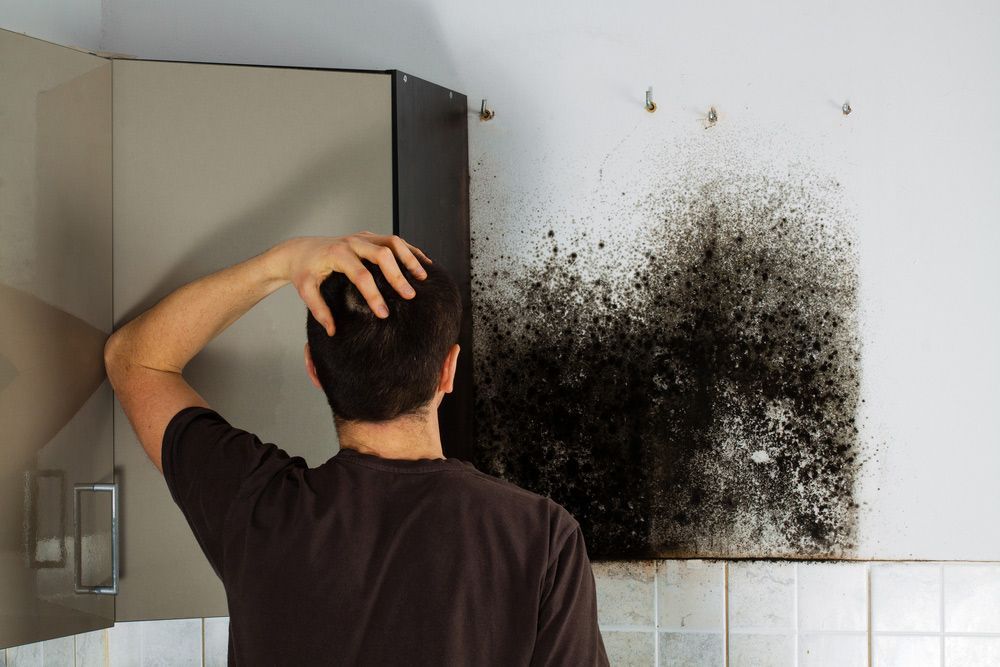 A Man Is Standing in Front of A Cabinet with Black Mold on The Wall - Healthy Cleaning Solutions in Scotts Head, NSW
