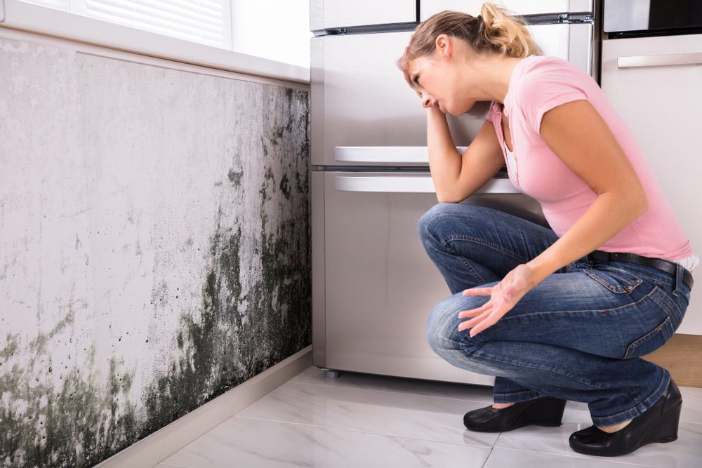 A Woman Is Kneeling Down in Front of A Fridge and Looking at The Mould on The Wall - Healthy Cleaning Solutions in Scotts Head, NSW