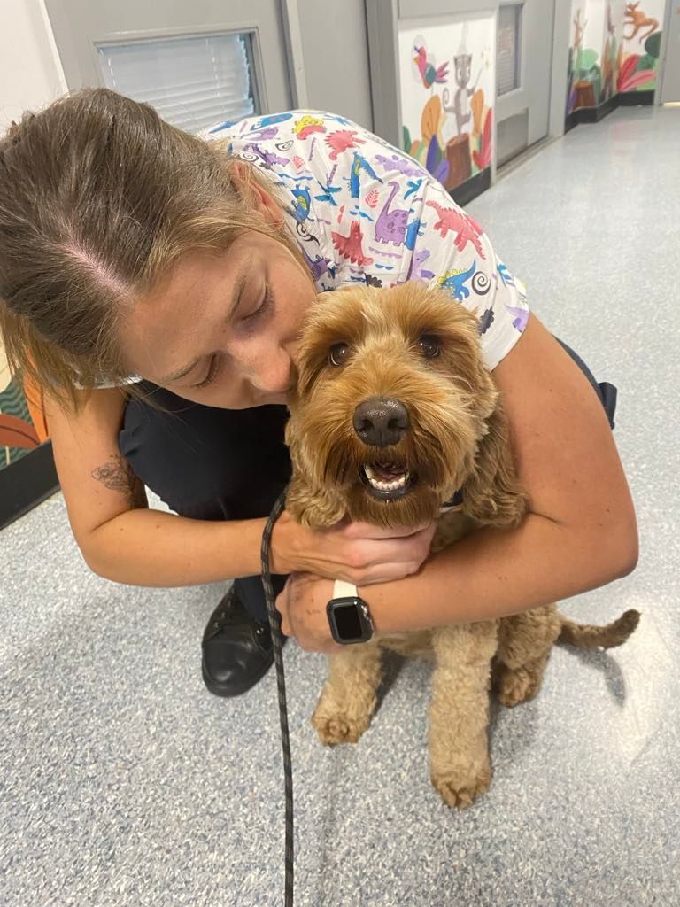 A woman is kneeling down and hugging a small brown dog.