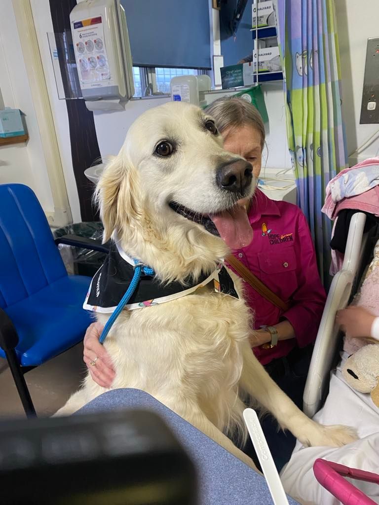 A woman is holding a dog with a stethoscope around its neck.