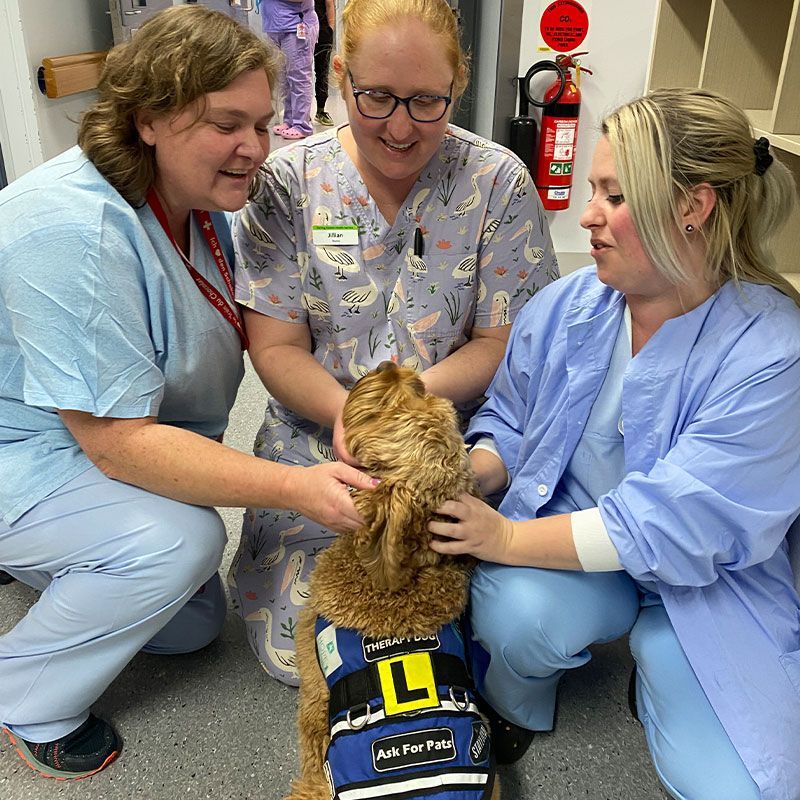HOSPITAL STAFF WITH SUPPORT DOG