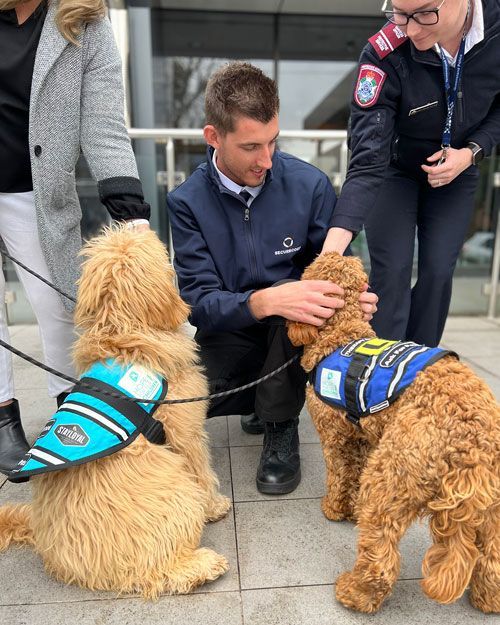 EMOTIONAL SUPPORT DOGS WITH PARAMEDICS