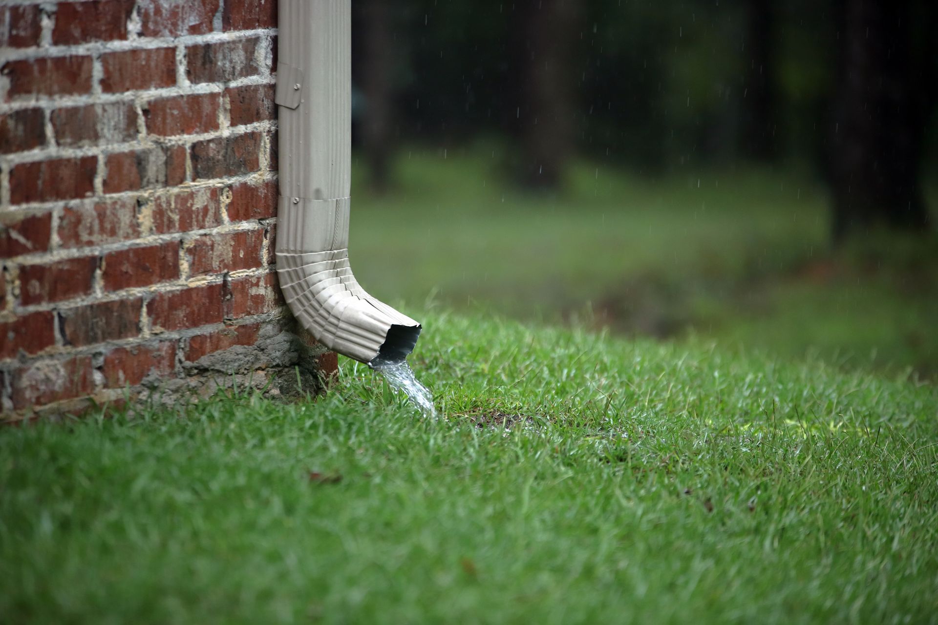Rainwater pouring from a light-colored gutter onto green grass next to a brick wall.
