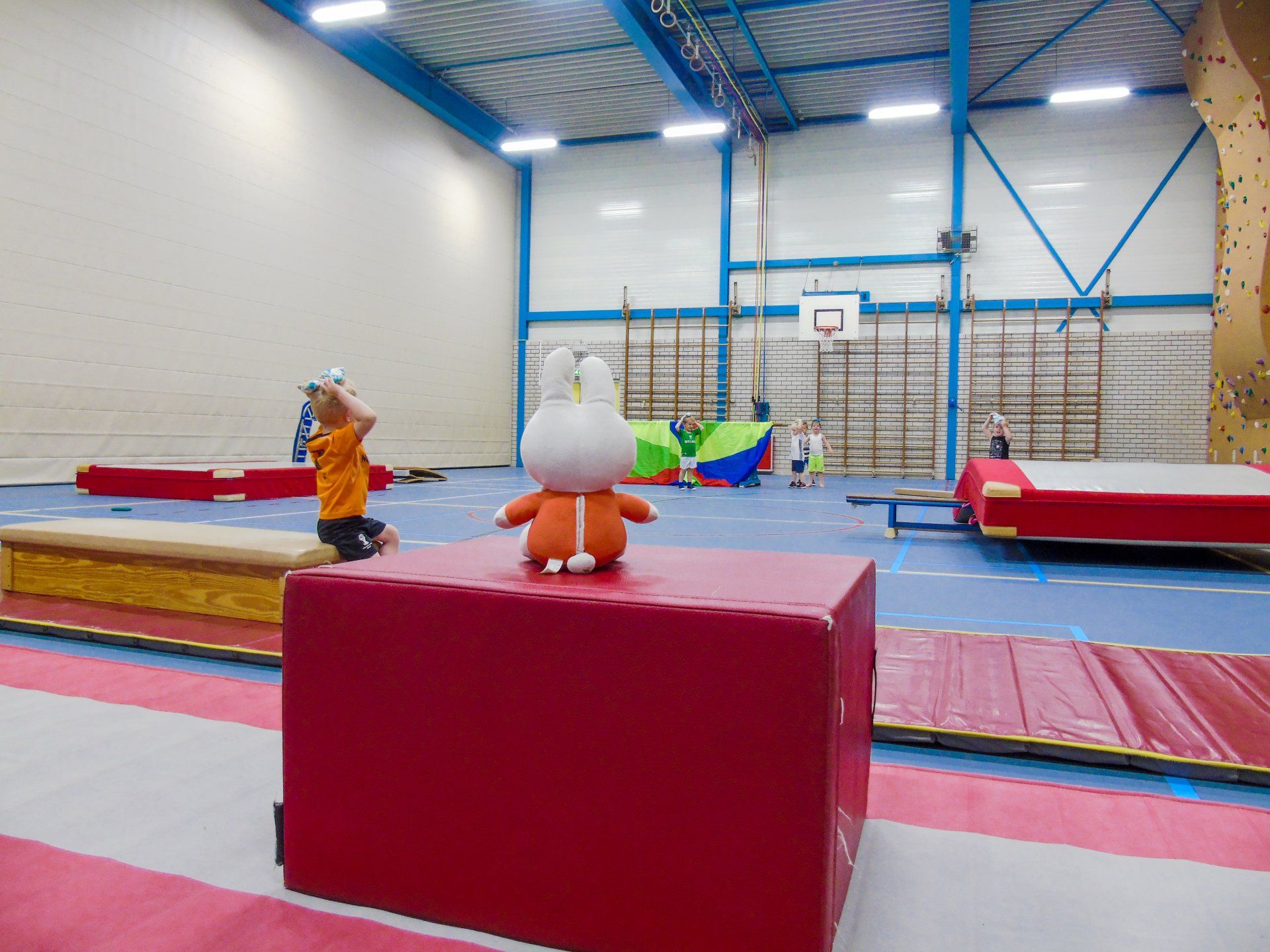 Nijntje beweegdiploma