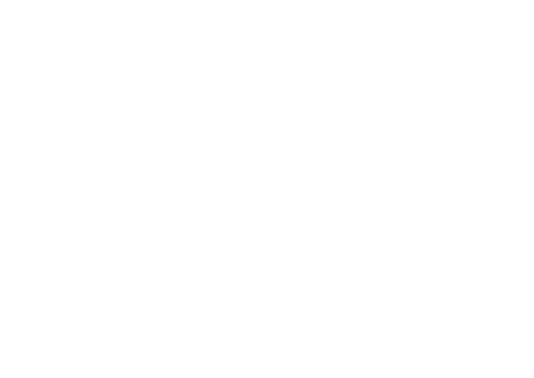 American Protective Service logo