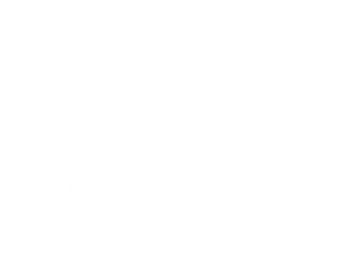 American Protective Service logo