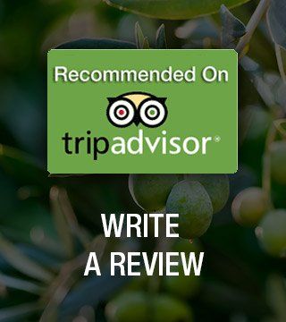 Trip advisor logo - write a review